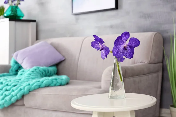 Lilac accent in modern interior. Table with flowers and comfortable couch in living room — Stock Photo, Image