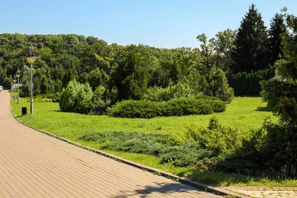 Hermosa vista del parque verde — Foto de Stock