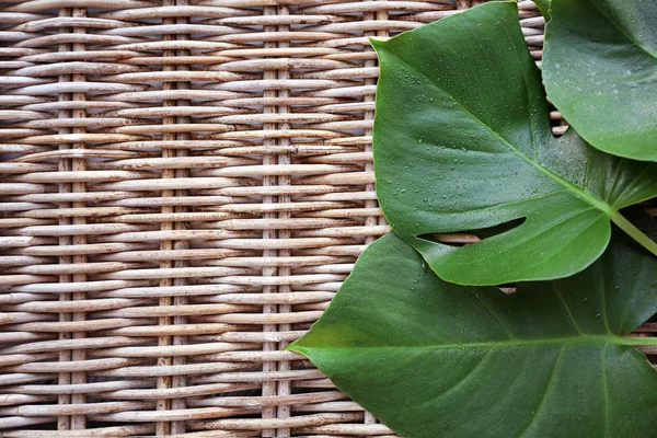 Monstera hojas sobre fondo de mimbre — Foto de Stock