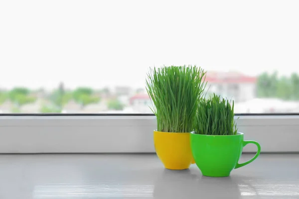 Cups with wheat grass on window sill — Stok Foto