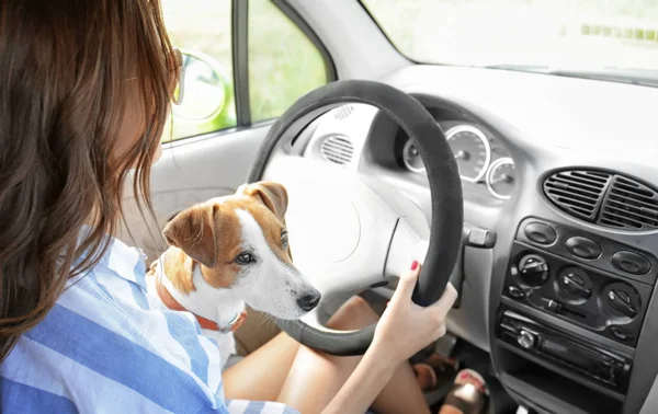 Mujer joven con lindo perro — Foto de Stock