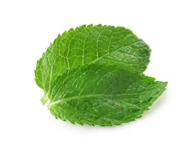 Taze nane yaprakları