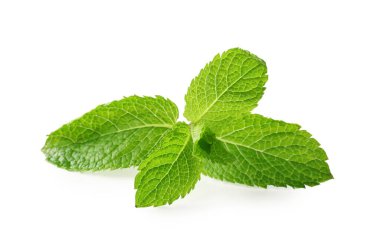 Taze nane yaprakları