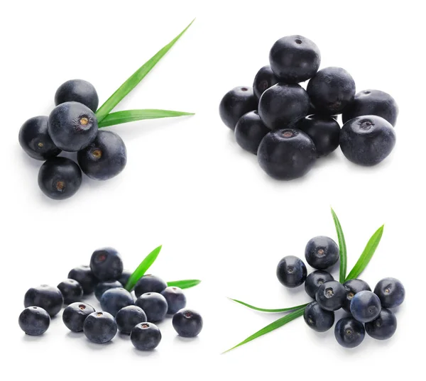 Collage of acai berries on white background — Stock Photo, Image
