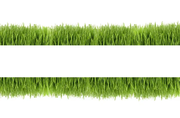 Frame of wheat grass — Stock Photo, Image