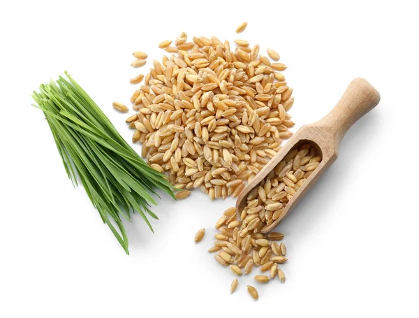 Pilha de sementes, grama de trigo e colher em fundo branco — Fotografia de Stock