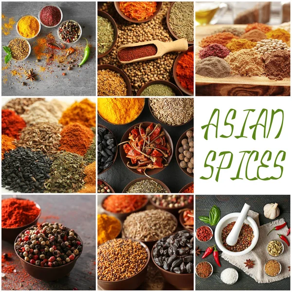 Collage with different spices — Stock Photo, Image