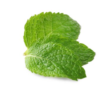 Taze nane yaprakları