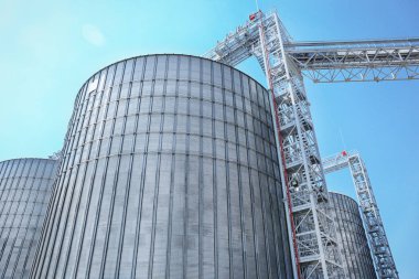 Modern tahıl Asansör