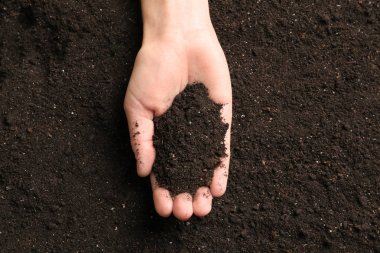 Siyah toprak toprak üstünde tutan kadın
