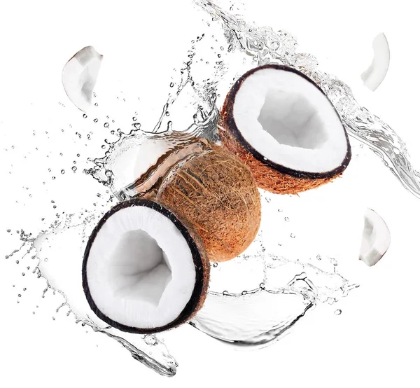 Kokosnoten en water spatten — Stockfoto