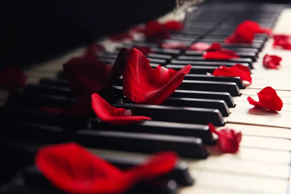 Rozenblaadjes op piano toetsen — Stockfoto