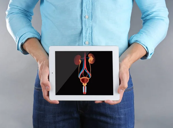 Joven sosteniendo tableta con ilustración del sistema urinario sobre fondo gris. Concepto de cáncer — Foto de Stock