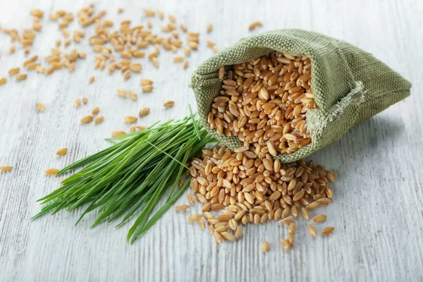 Мешок с семенами и травой пшеницы — стоковое фото