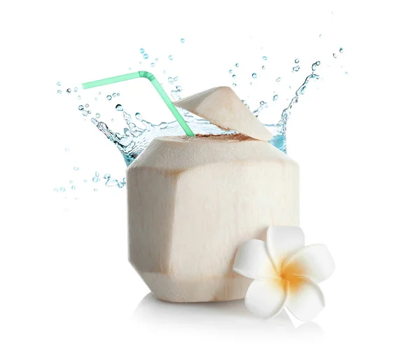 Coconut with flower and water splash — Stock Photo, Image