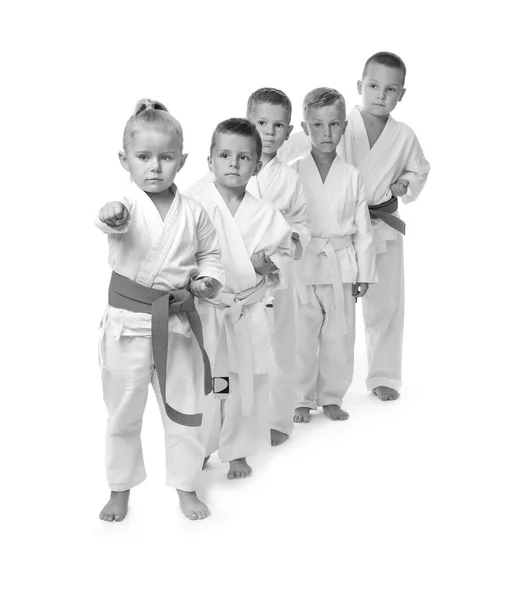 Mijn lieve kinderen beoefenen van karate op witte achtergrond — Stockfoto