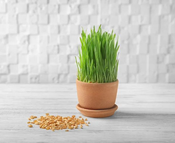 Maceta con hierba de trigo — Foto de Stock