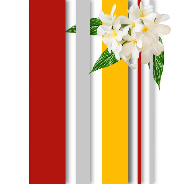 Collage van tropische bloemen — Stockfoto