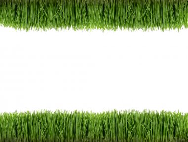 Çerçeve buğday çimen 