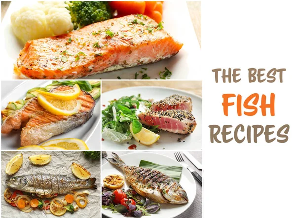 Collage for best fish recipes