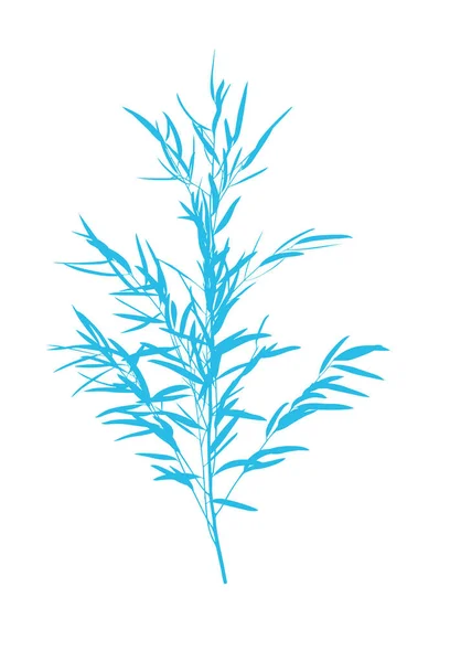 Σιλουέτα του τροπικό φυτό με φύλλα σε λευκό φόντο — Φωτογραφία Αρχείου