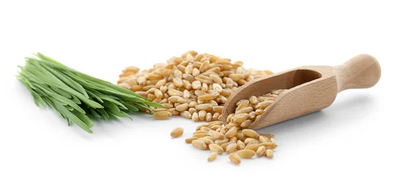 Pile of seeds, wheat grass and scoop on white background