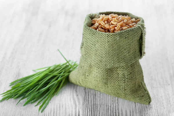 Bag with seeds and wheat grass — Stock Photo, Image