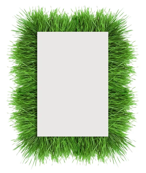 Yeşil çim beyaz arka plan üzerinde metin için yer ile kağıt levha çevresinde — Stok fotoğraf