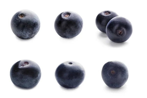 Collage of acai berries on white background — Stock Photo, Image