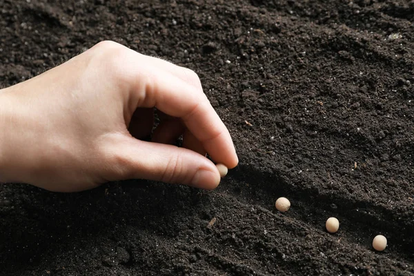 Vrouw planten zaden in de bodem, close-up — Stockfoto