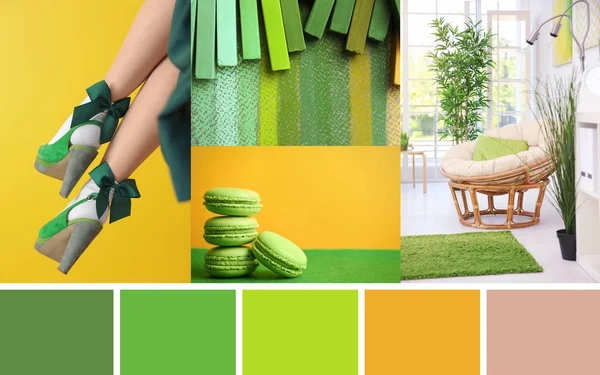 Stylish collage with green color palette — Stock Photo, Image