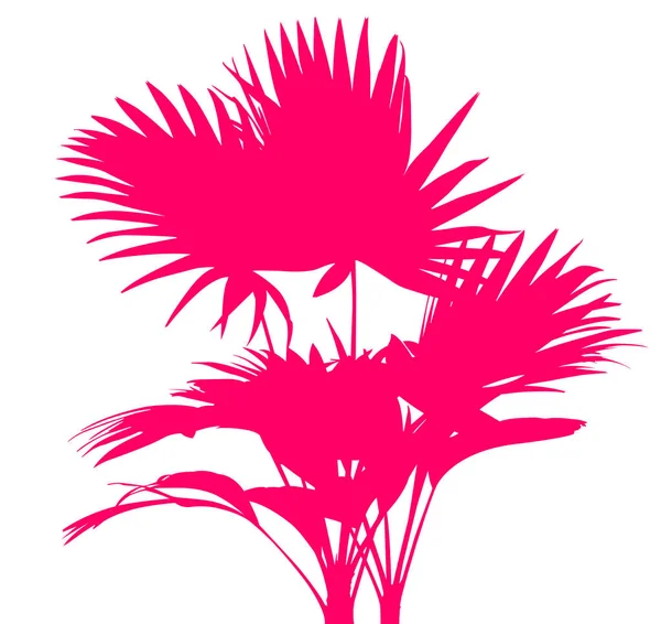 Siluetleri renk tropikal yaprak beyaz arka plan üzerinde