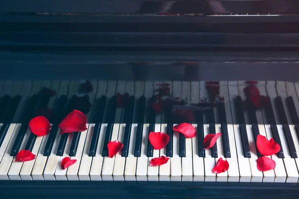 在钢琴键上的玫瑰花瓣 — 图库照片