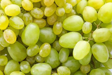 taze olgunlaşmış üzümler