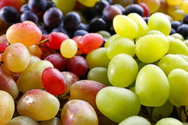 Farklı üzüm çeşitleri 