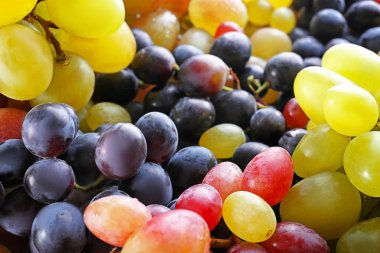 Farklı üzüm çeşitleri 