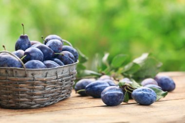 Olgun Erik sepet ve ahşap masa açık havada