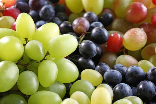 Different varieties of grapes — Stock Photo, Image