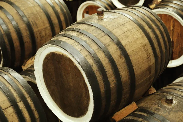 Дерев'яні бочки з вином в підвалі — стокове фото