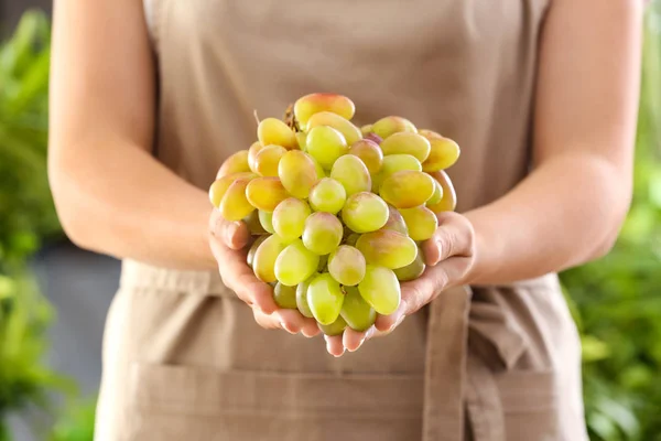 Woman holding bunch of ripe grapes — Stock Photo, Image