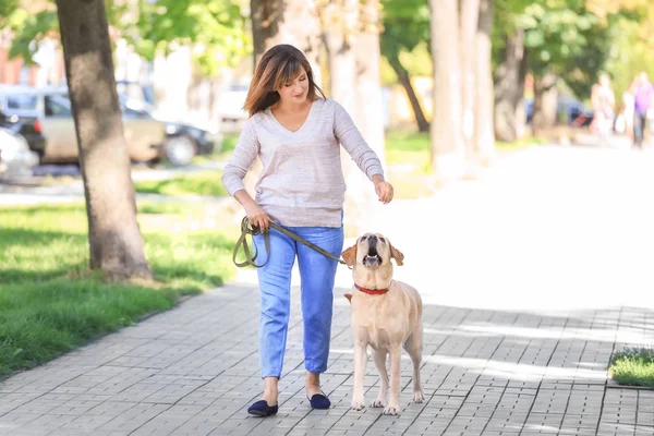 Olgun kadın köpeğini Park'ta yürüyordunuz — Stok fotoğraf