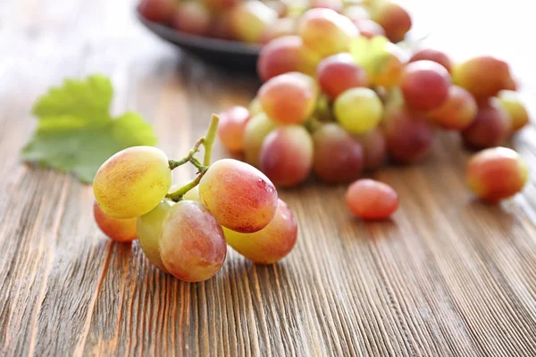 Verse rijpe druiven — Stockfoto