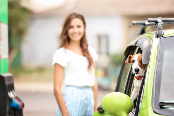 Hund i bil på bensinstation — Stockfoto