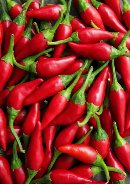 Rote Chilischoten — Stockfoto