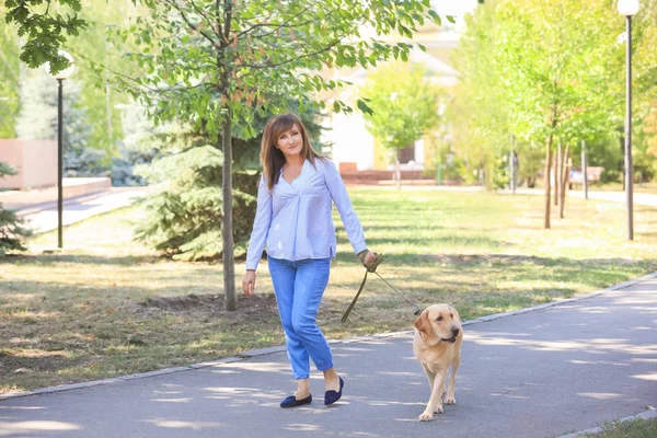 Reife Frau geht mit Hund im Park spazieren — Stockfoto