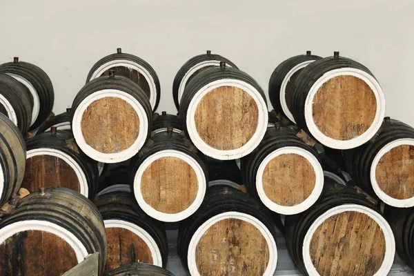 Barris de madeira com vinho na adega — Fotografia de Stock