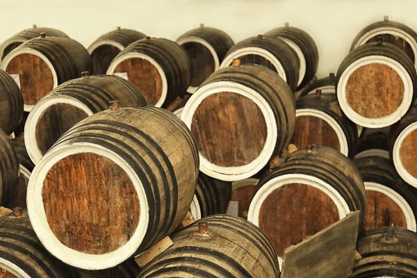 Wooden barrels with wine in cellar — Stock Photo, Image