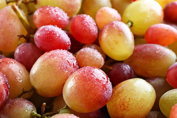 Uvas frescas maduras — Fotografia de Stock