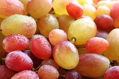 taze olgunlaşmış üzümler