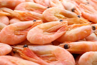 Lezzetli taze karides doku   